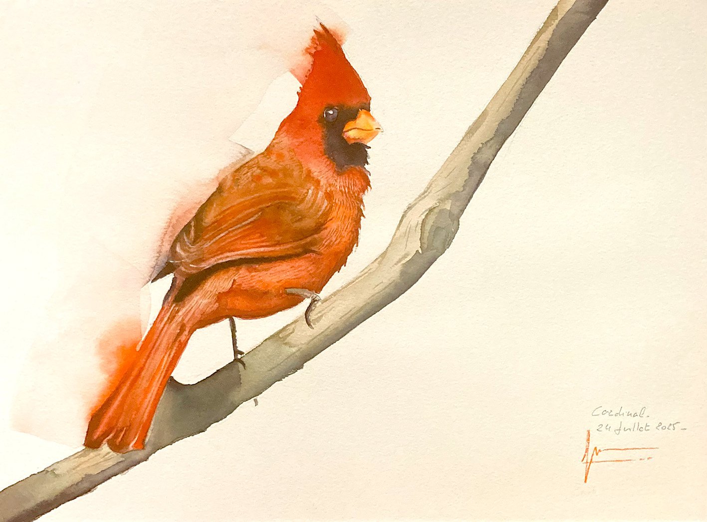 Aquarelle de Thomas Favier : Mazarin ou le Cardinal…