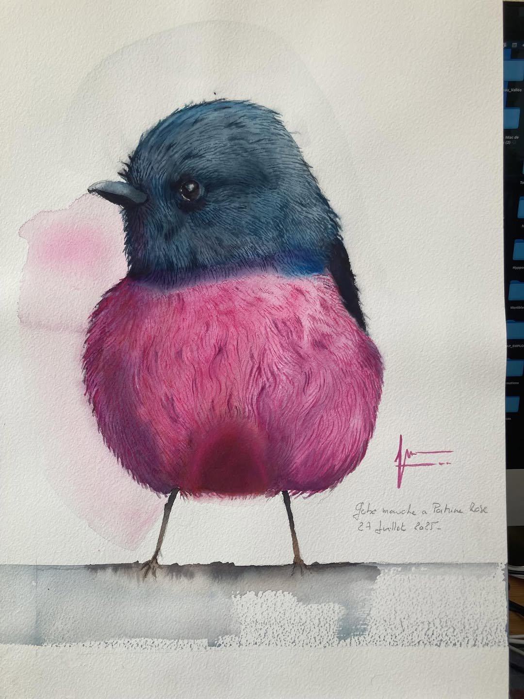 Aquarelle de Thomas Favier : Edith Piaf ou la vie en rose…