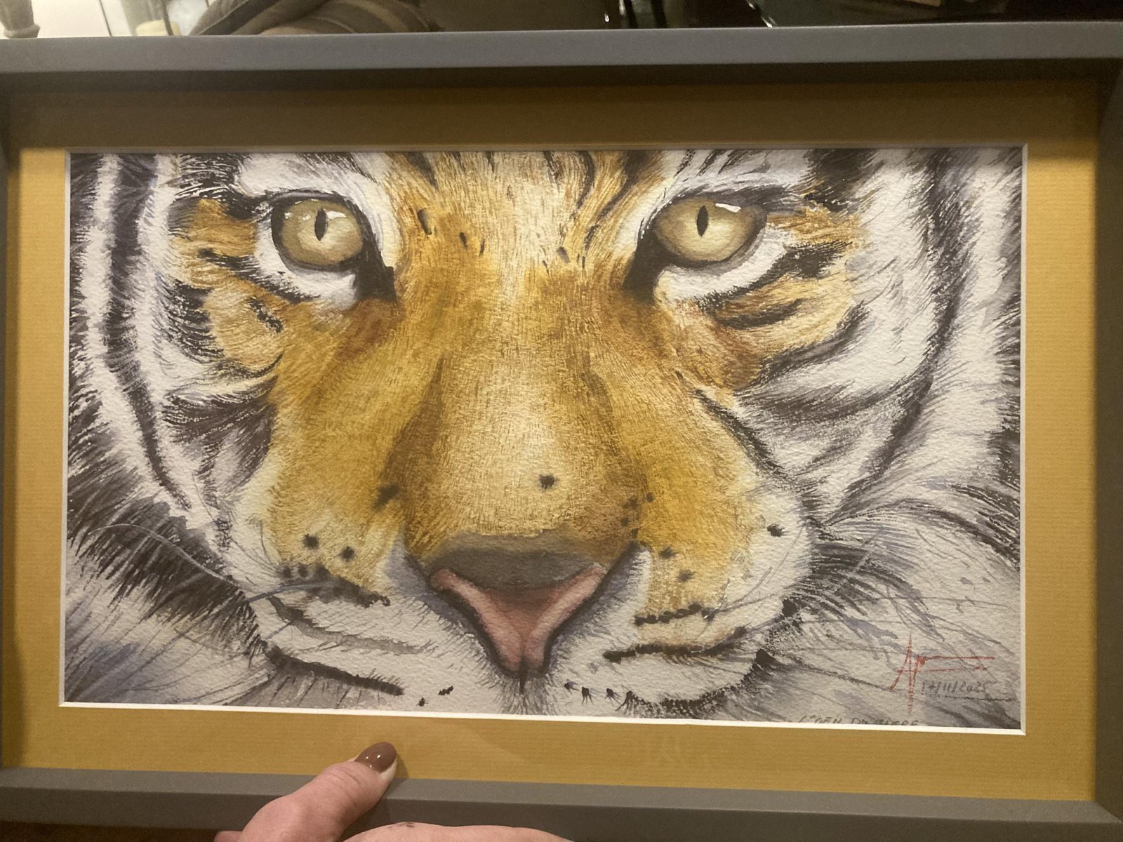 Aquarelle de Thomas Favier : L’oeil di-u tigre…