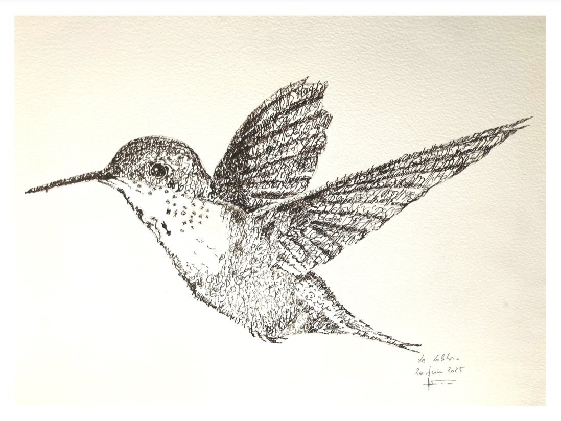 Le Colibri en Calligraphie…