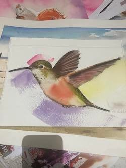 Aquarelle de Thomas de Thomas Favier représentant un colibri haut en couleurs.